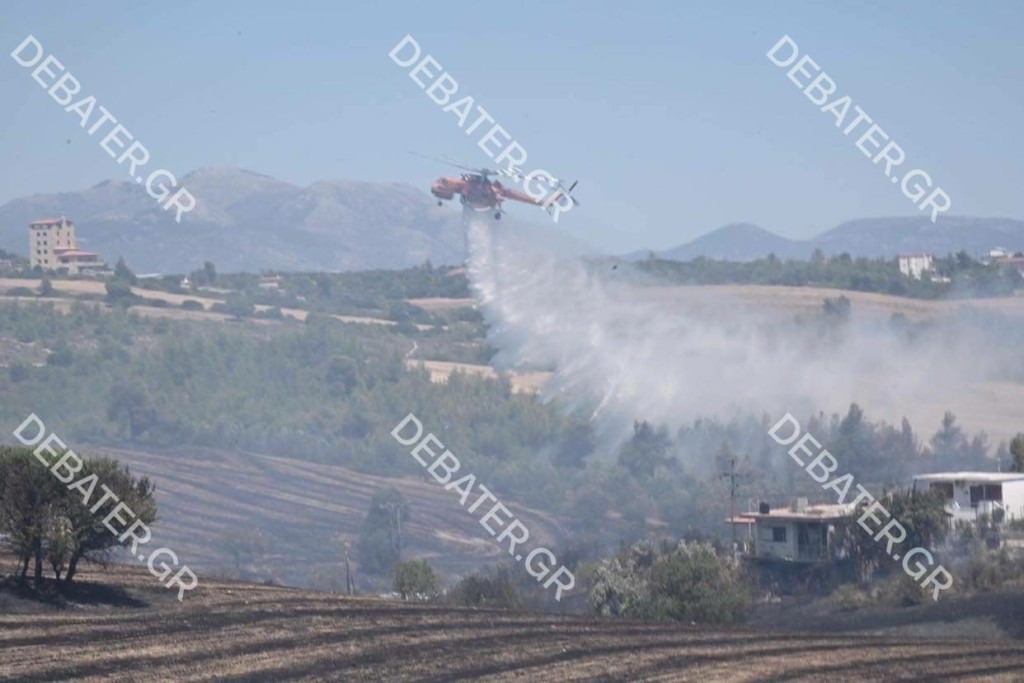 Τα νεότερα από πύρινο μέτωπο στο Σχηματάρι –  Περισσότεροι από 100 πυροσβέστες στη μάχη με τις φλόγες (pics&vid)