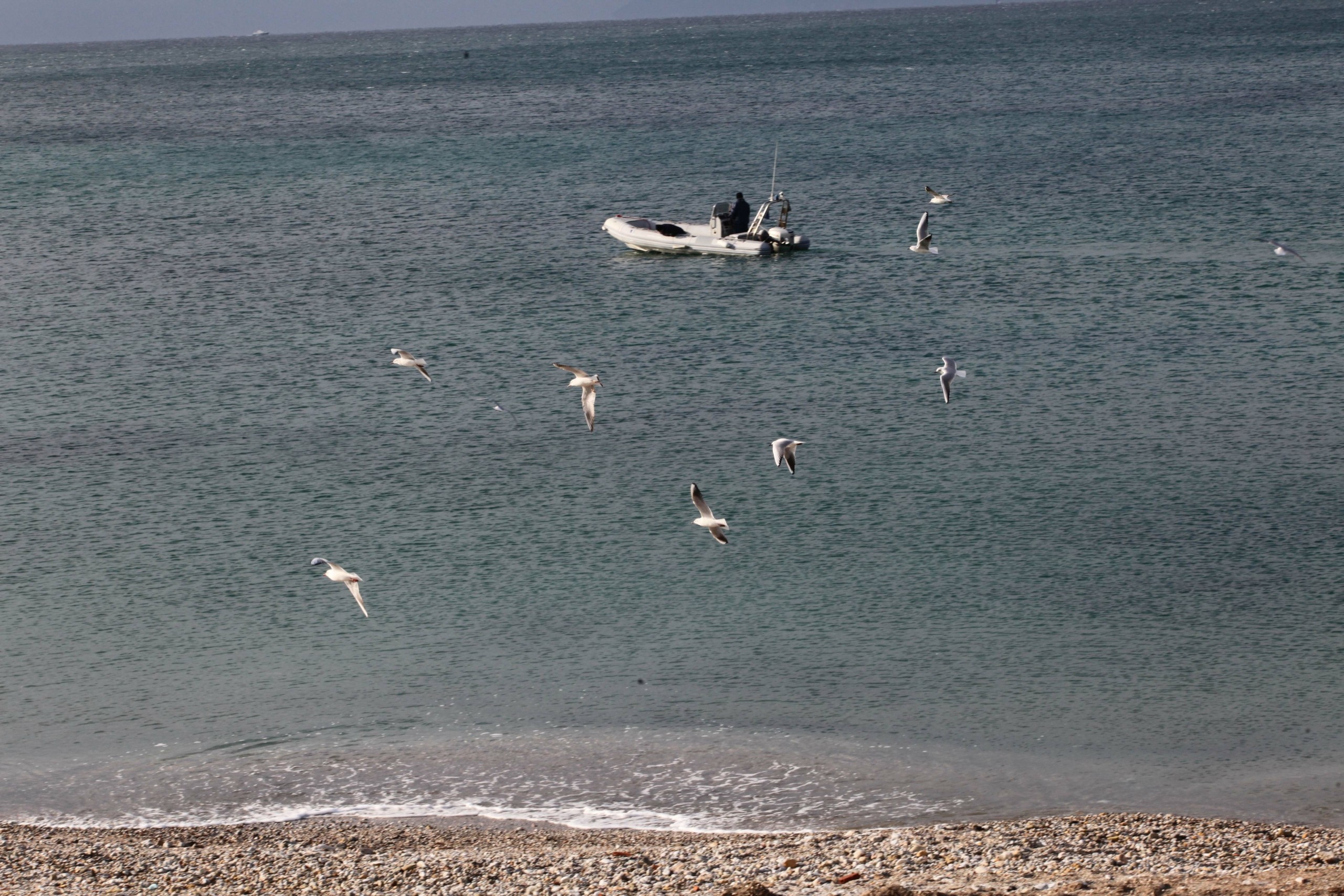 Νέα τροπή στην υπόθεση πνιγμού της 6χρονης στην Κορινθία – “Υπάρχουν ενδείξεις εγκληματικής ενέργειας”