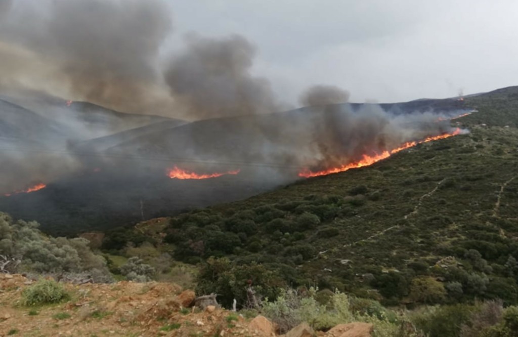 Στον εισαγγελέα εντός της ημέρας ο 65χρονος που συνελήφθη για εμπρησμό στη Θάσο