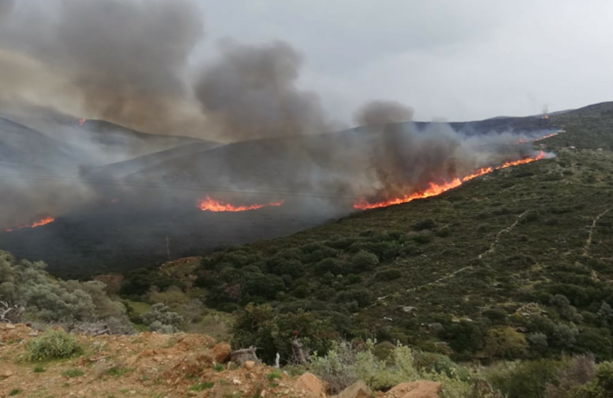 Στον εισαγγελέα εντός της ημέρας ο 65χρονος που συνελήφθη για εμπρησμό στη Θάσο