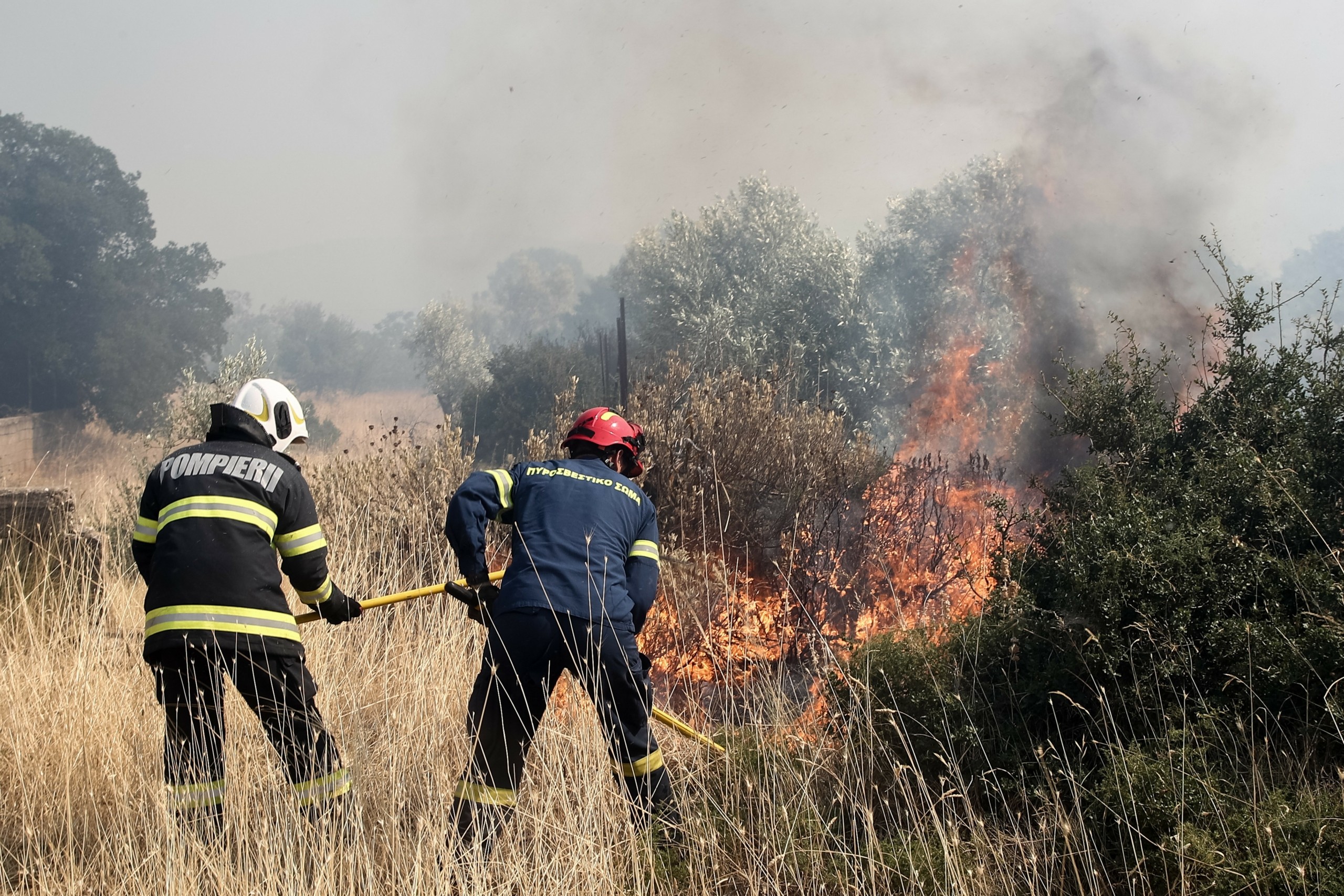 Οριοθετήθηκε η φωτιά στην Αρκαδία που ξέσπασε σε δάσος