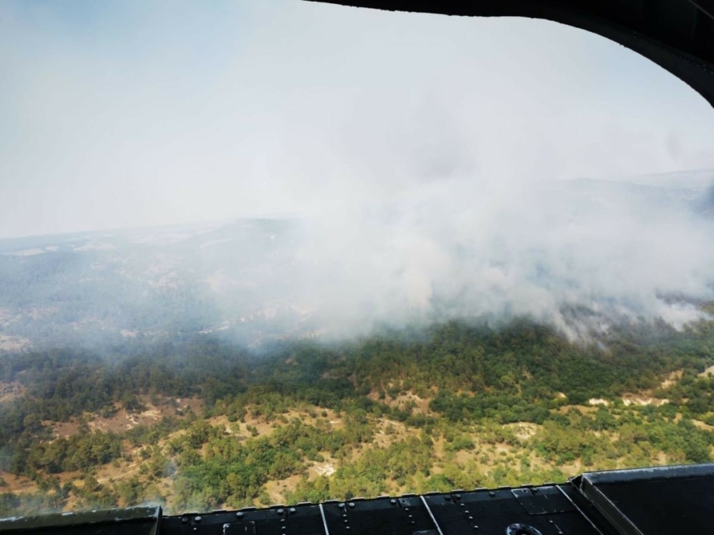 Βαρύ πλήγμα για την περιοχή του δάσους της Δαδιάς – Αφαιρείται από τουριστικούς καταλόγους