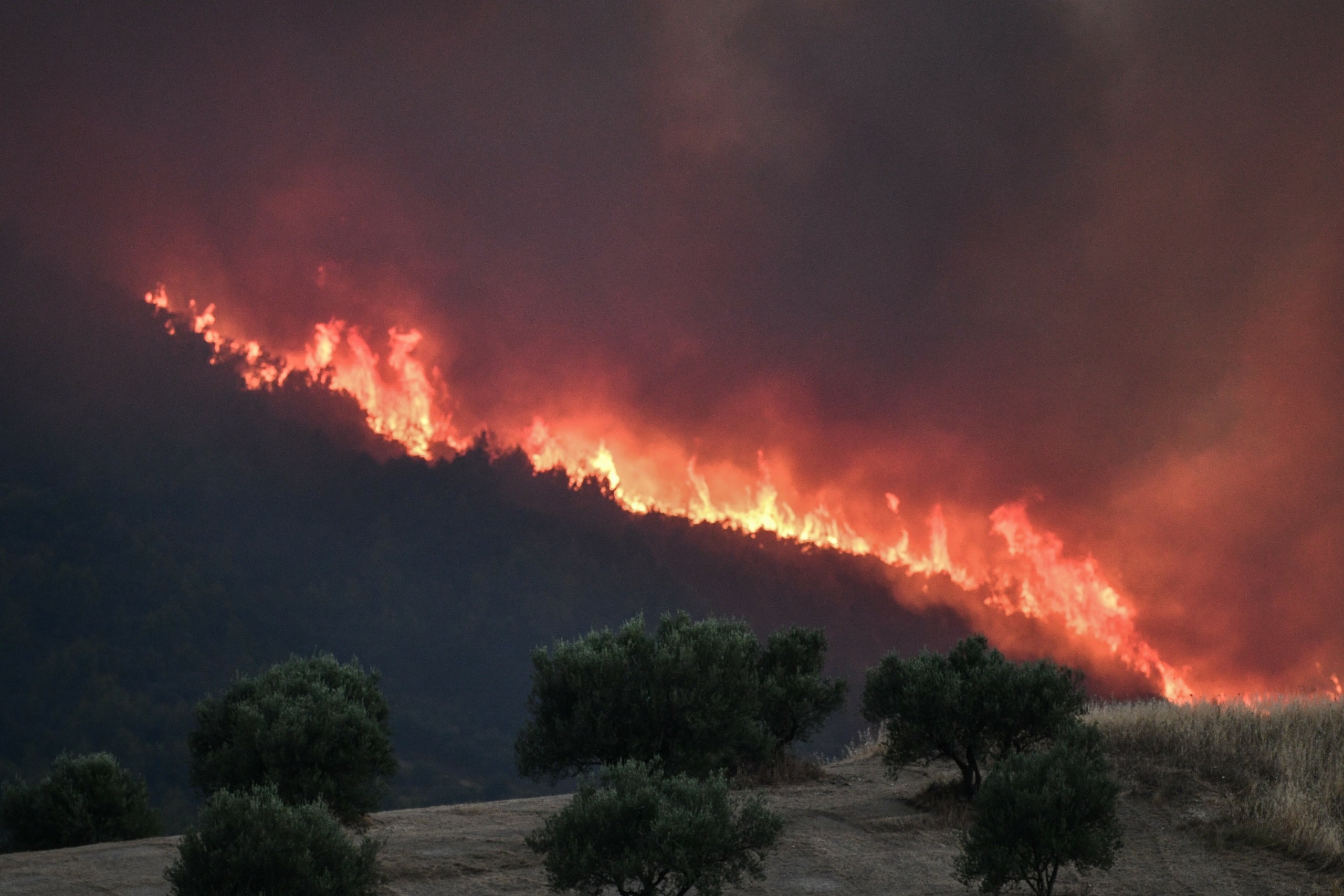 Φωτιά στην Πέλλα σε δασική έκταση στη Σκύδρα – Επιχειρούν ισχυρές πυροσβεστικές δυνάμεις (vid)
