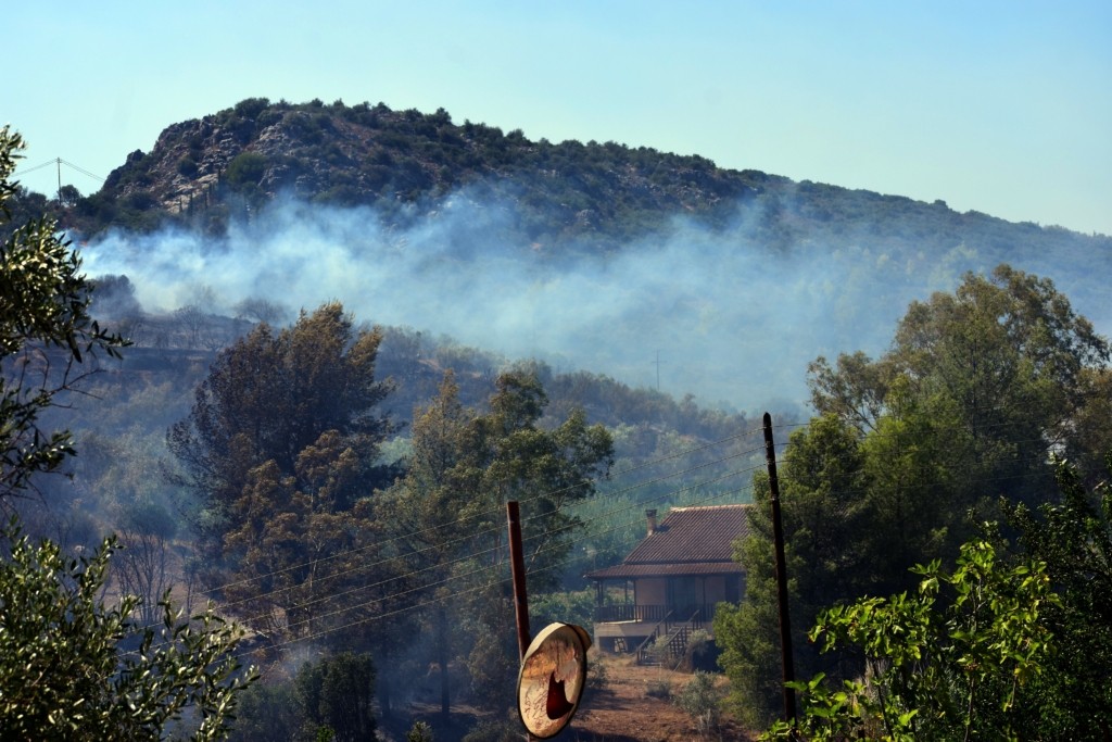 Σε ύφεση η πυρκαγιά στη Φθιώτιδα – Συνεχίζει να επιχειρεί η Πυροσβεστική