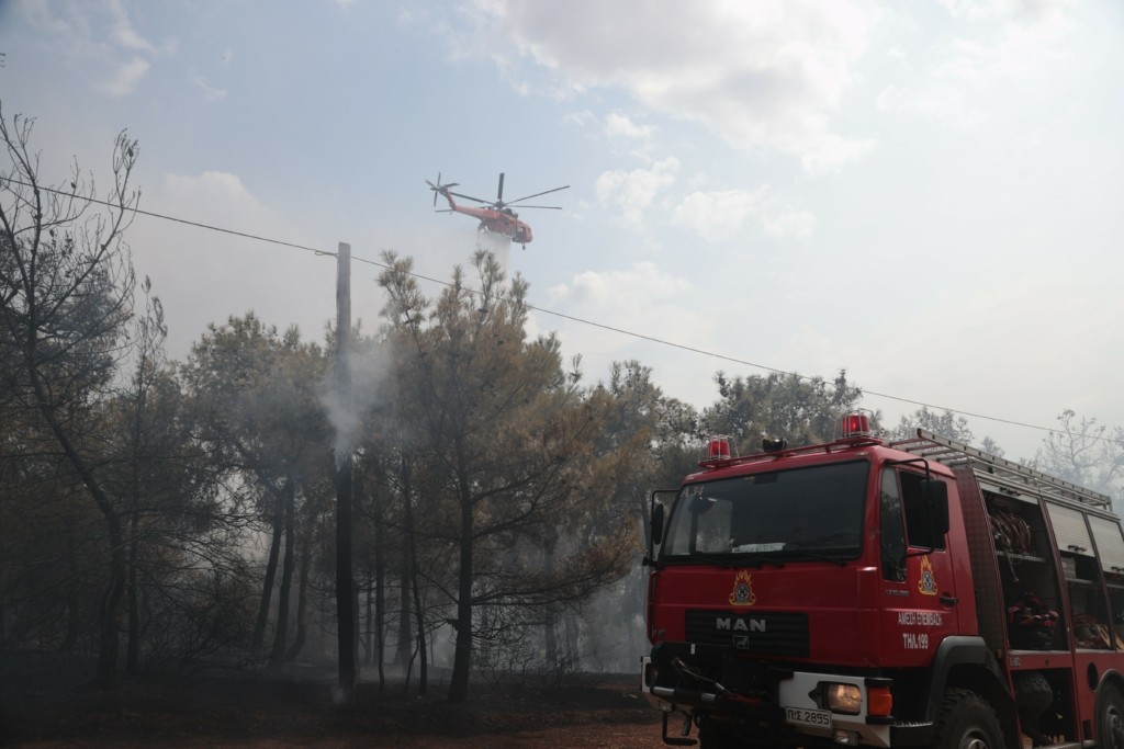 Φωτιά στο δάσος του Σέιχ Σου στη Θεσσαλονίκη – Πυκνοί καπνοί έχουν σκεπάσει τον ουρανό (pics&vid)