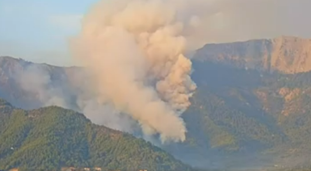 “Μάχη” με τις φλόγες στη Θάσο μετά την αναζωπύρωση – Ενισχύθηκαν τα εναέρια μέσα (vid)