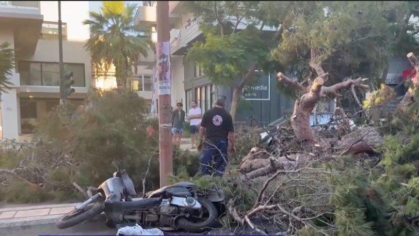 Συγκλονίζουν τα “παιχνίδια” της μοίρας για τον 51χρονο που καταπλακώθηκε από δέντρο (vids)