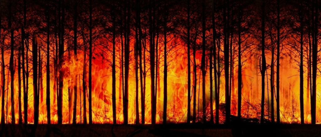 Νέο κύμα πυρκαγιών πλήττει τη νοτιοδυτική Γαλλία – Στάχτη έγιναν 60.000 στρέμματα δέντρων (vid)