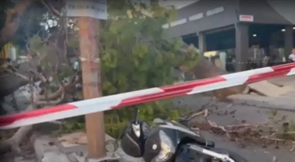 Συγκινεί η χήρα του 51χρονου που καταπλακώθηκε από δέντρο στο Ηράκλειο – “Καλό παράδεισο ψυχή μου”