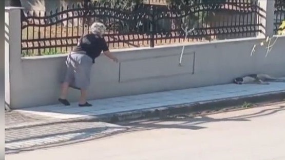 Η 75χρονη που πέταξε μπαστούνι σε σκύλο στο Λαγκαδά απαντάει μετά το σάλο – “Φοβήθηκα, δεν ήθελα να το χτυπήσω” (vid)