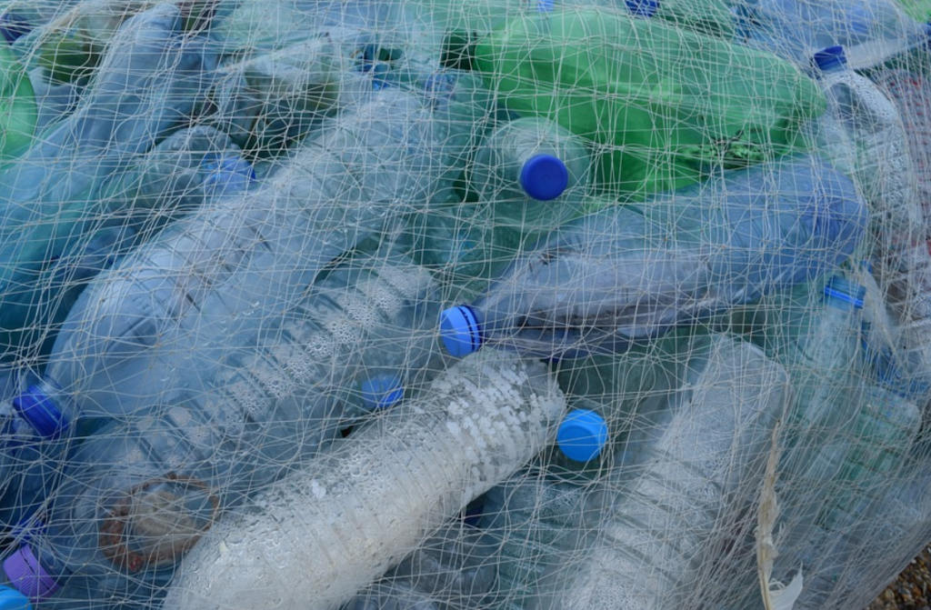 Μεγάλη απογοήτευση για τη WWF Ελλάς με την εφαρμογή του νόμου των πλαστικών μίας χρήσης