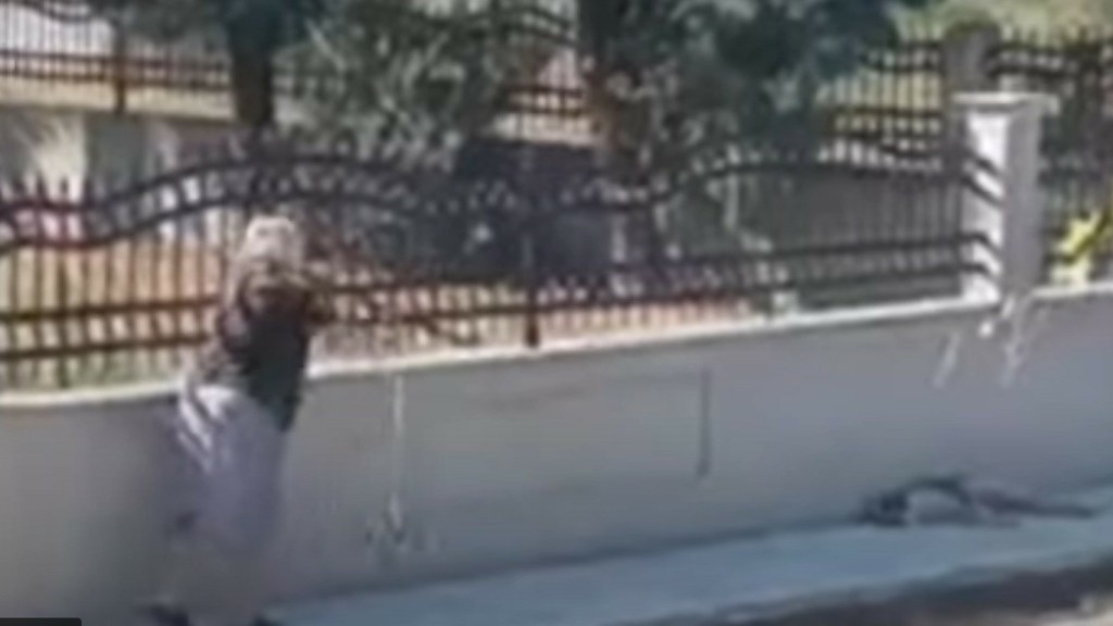 Έντονες αντιδράσεις για ηλικιωμένη που πετάει μπαστούνι σε αδέσποτο σκύλο στον Λαγκαδά (vid)