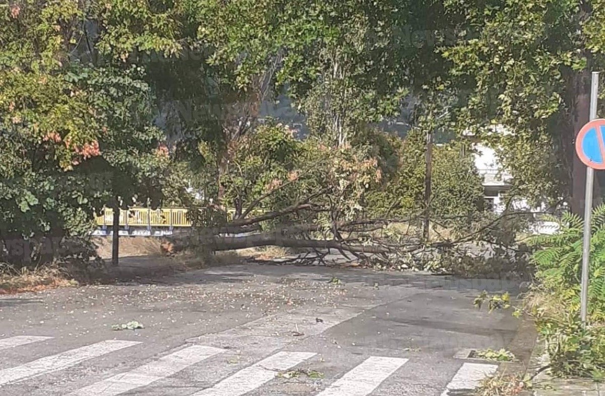 Βόλος