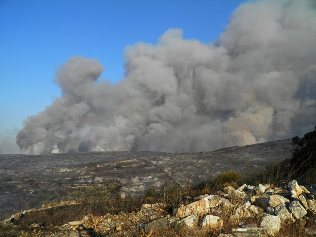 Μεγάλη φωτιά στα Κύθηρα – Επιχειρούν τα εναέρια μέσα