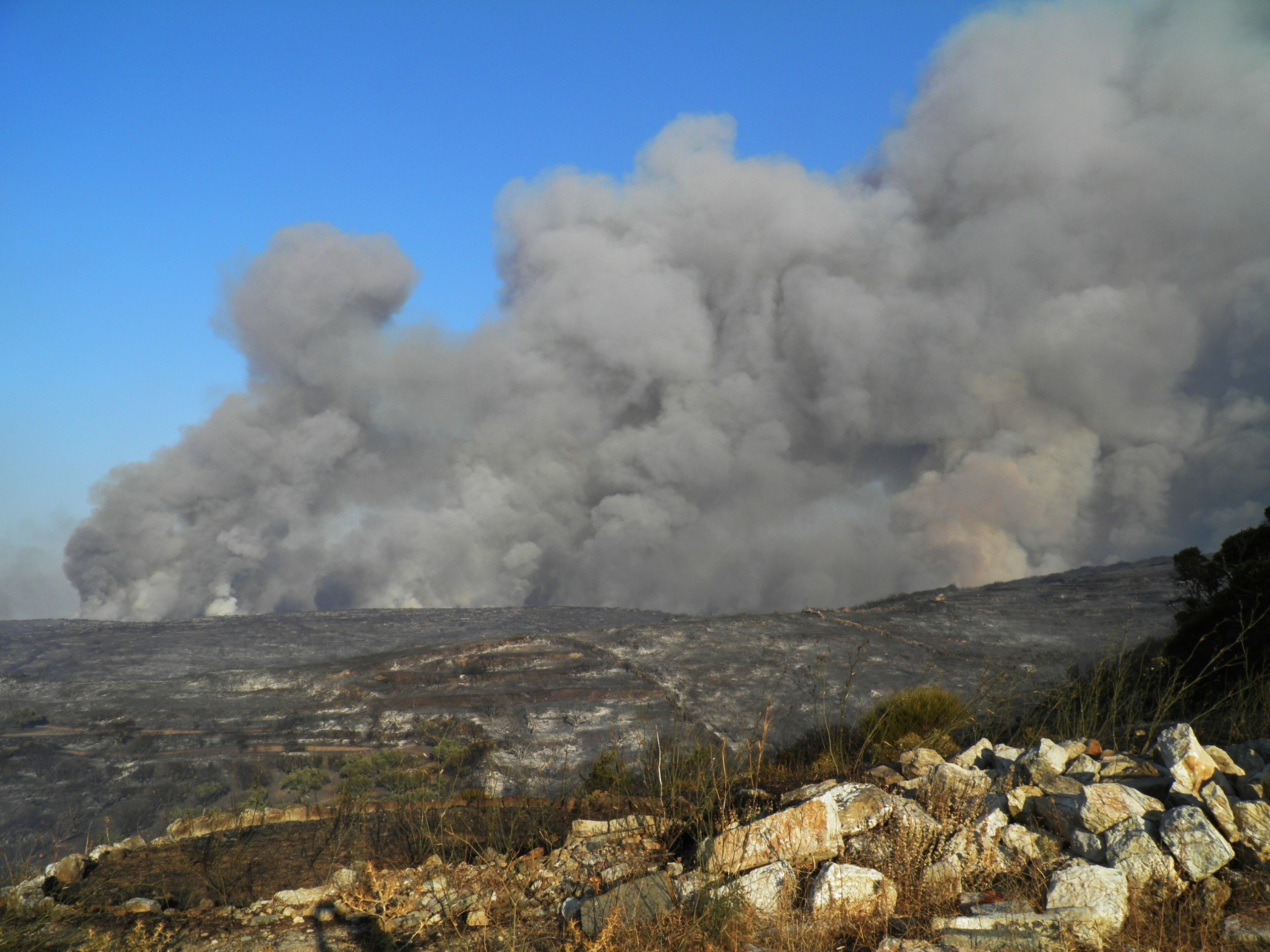 Μεγάλη φωτιά στα Κύθηρα – Επιχειρούν τα εναέρια μέσα