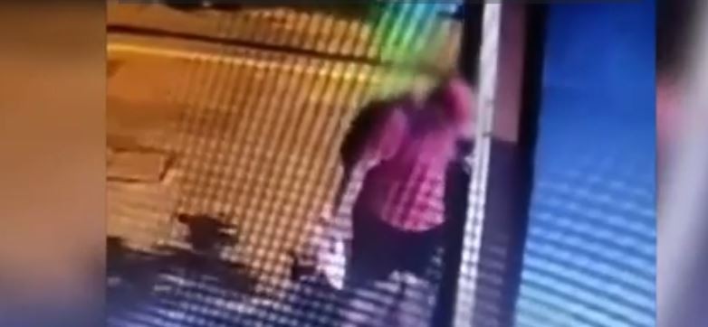 Συνεχίζονται οι έρευνες για τον άνδρα που κακοποίησε με βίαιο τρόπο το γατάκι στη Θεσσαλονίκη – Σχηματίστηκε δικογραφία