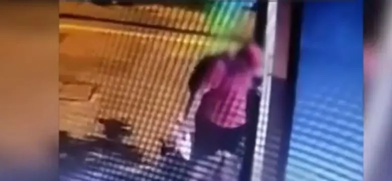 Συνεχίζονται οι έρευνες για τον άνδρα που κακοποίησε με βίαιο τρόπο το γατάκι στη Θεσσαλονίκη – Σχηματίστηκε δικογραφία