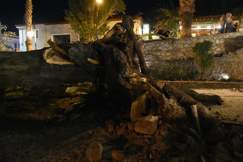 Ο αδερφός του 69χρονου που καταπλακώθηκε από δέντρο στο DEBATER – “Ο ίδιος το φύτεψε και το μεγάλωσε, ίσα για να τον σκοτώσει”