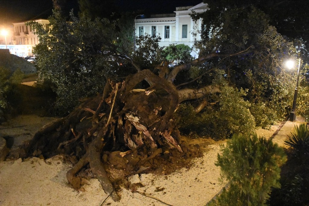 Σοκάρει η μαρτυρία του αδερφού του 69χρονου που καταπλακώθηκε από δέντρο – “Ούρλιαζα για βοήθεια, κλαδιά ήταν πάνω στην καρδιά του”