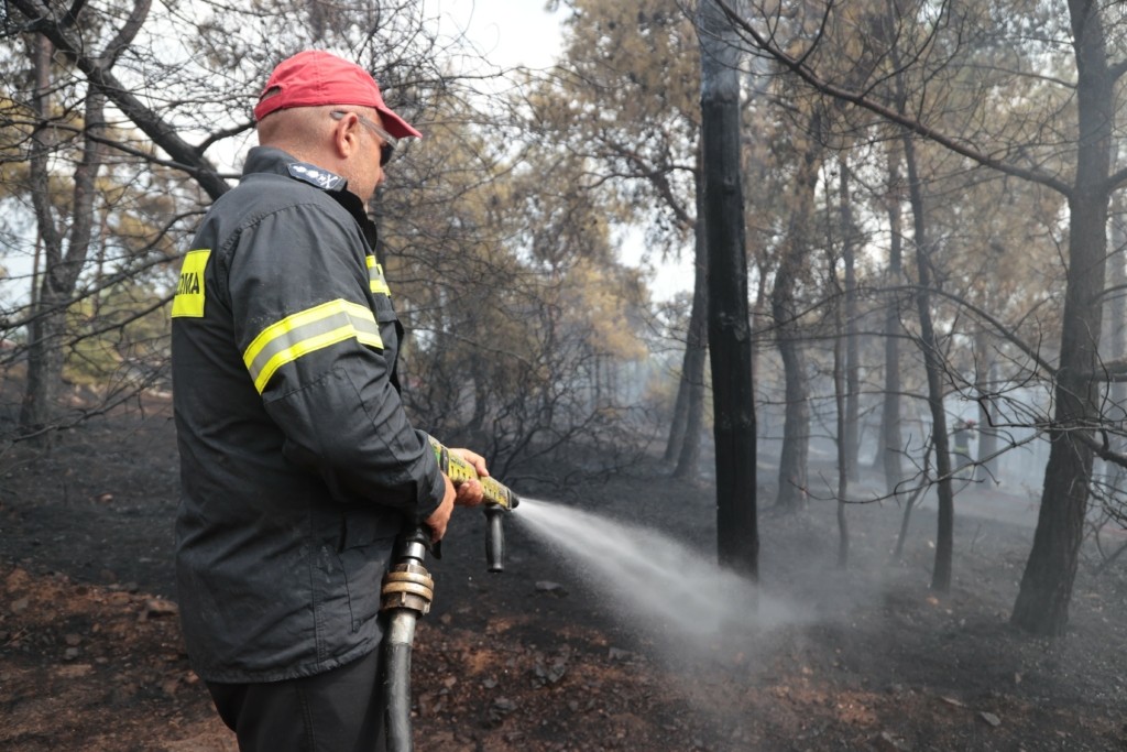 Φωτιά στον Ασπρόπυργο – Καίει σε χαμηλή βλάστηση – Δεν απειλούνται κατοικημένες περιοχές