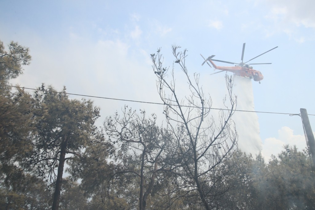 Φωτιά στην Αφροξυλιά Ναυπακτίας – Επιχειρούν ισχυρές πυροσβεστικές δυνάμεις