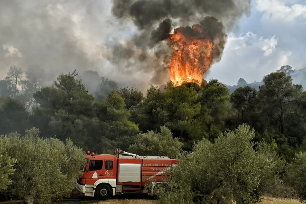 42 αγροτοδασικές πυρκαγιές το τελευταίο 24ωρο σε όλη τη χώρα