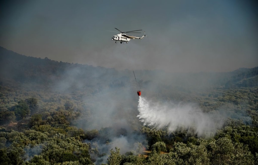 44 αγροτοδασικές πυρκαγιές το τελευταίο 24ωρο σε όλη τη χώρα