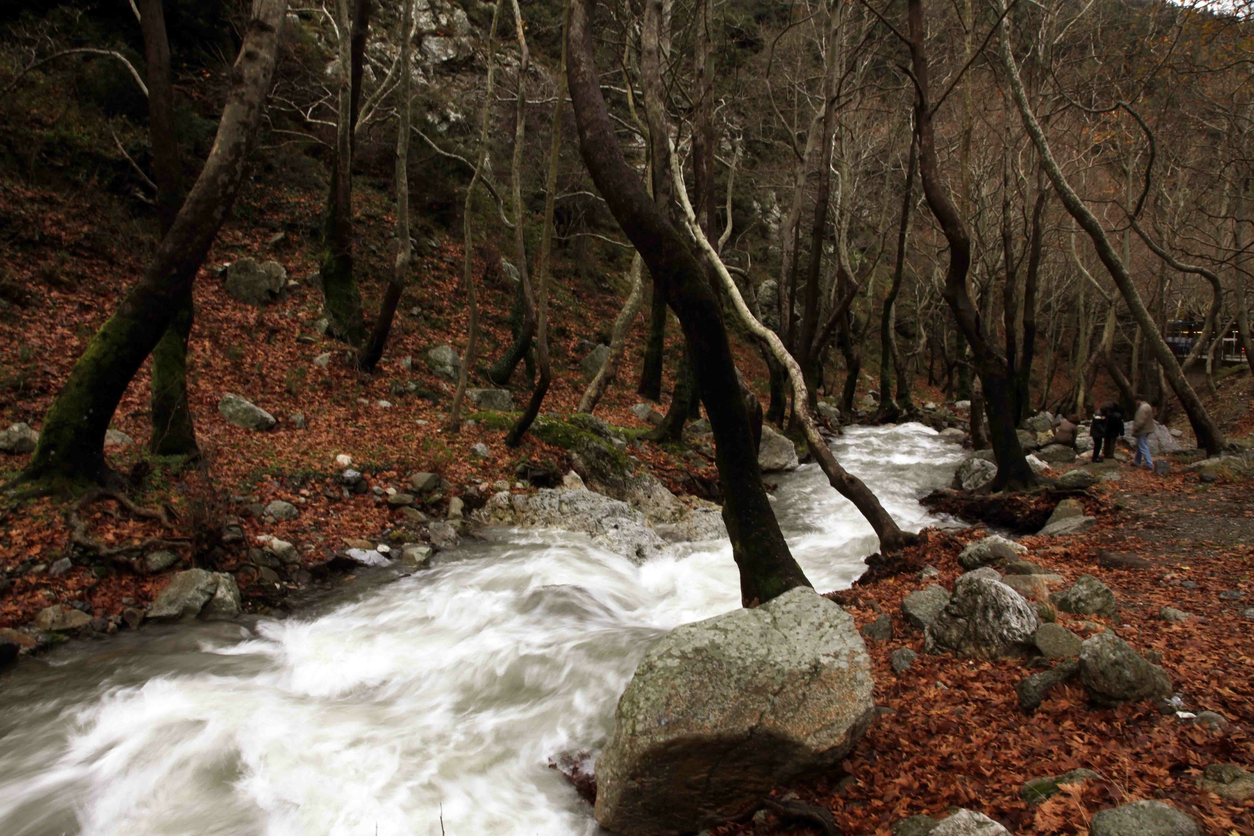 Σαββατοκύριακο στη Στενή Ευβοίας για χαλαρές βόλτες στη φύση και καλό φαγητό!