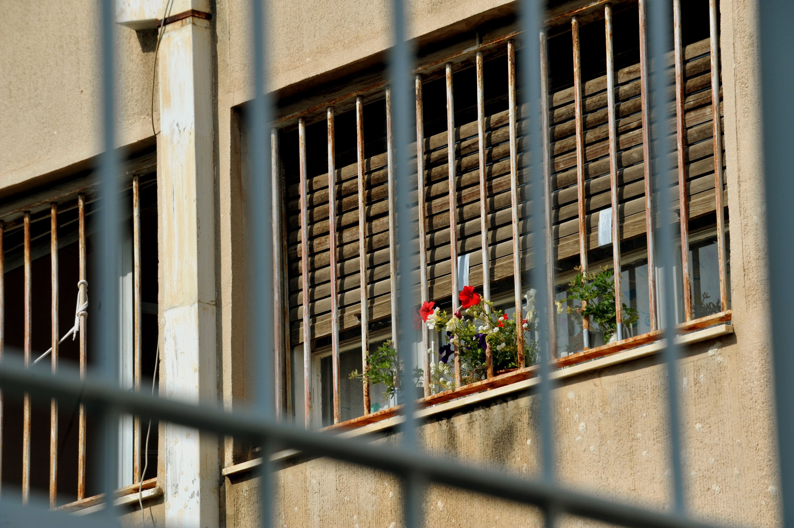 Συμφωνείτε με το χημικό ευνουχισμό σε περιπτώσεις σεξουαλικών εγκλημάτων κατά παιδιών;