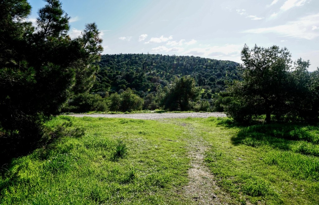 Επικήρυξε με 2.000 ευρώ αυτούς που έριξαν φόλες στα σκυλιά του – “Ήταν μέρος της οικογένειάς μου” (vid)