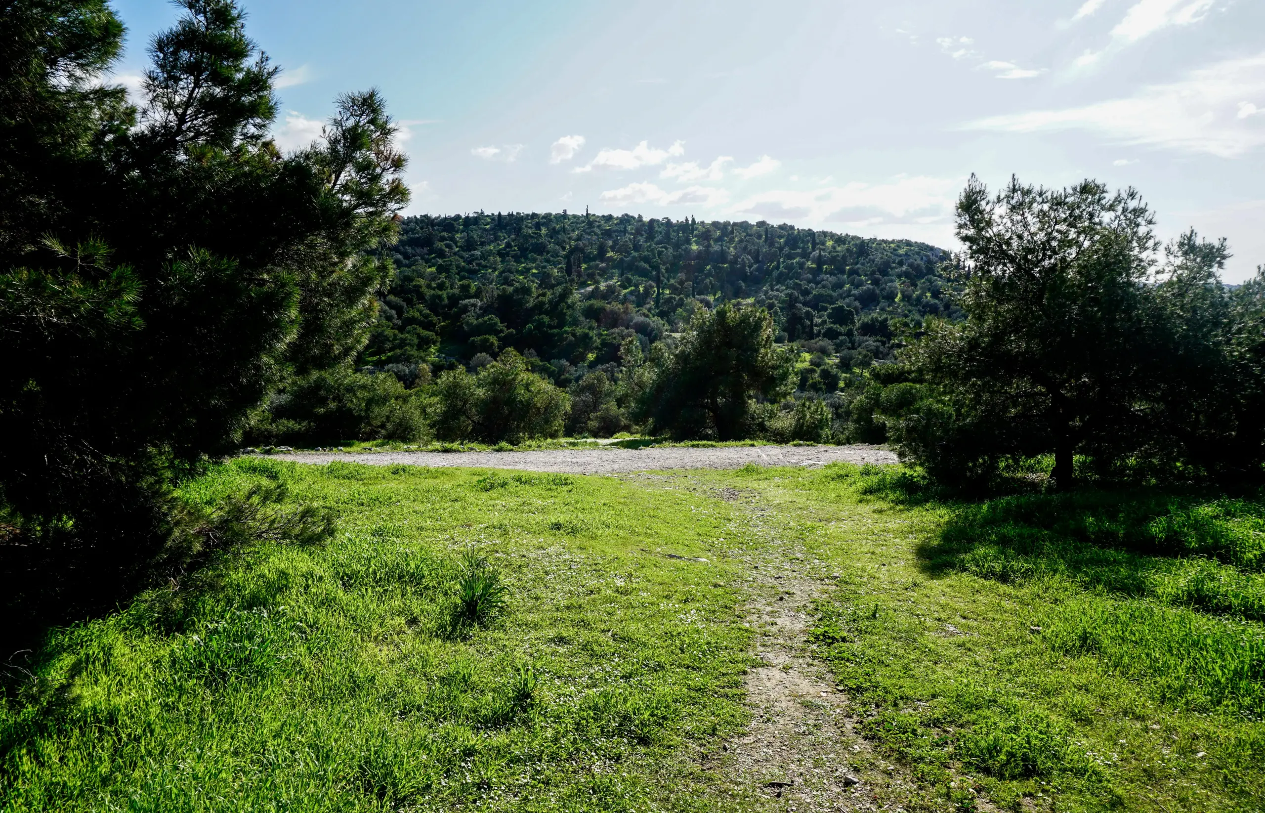 Επικήρυξε με 2.000 ευρώ αυτούς που έριξαν φόλες στα σκυλιά του – “Ήταν μέρος της οικογένειάς μου” (vid)