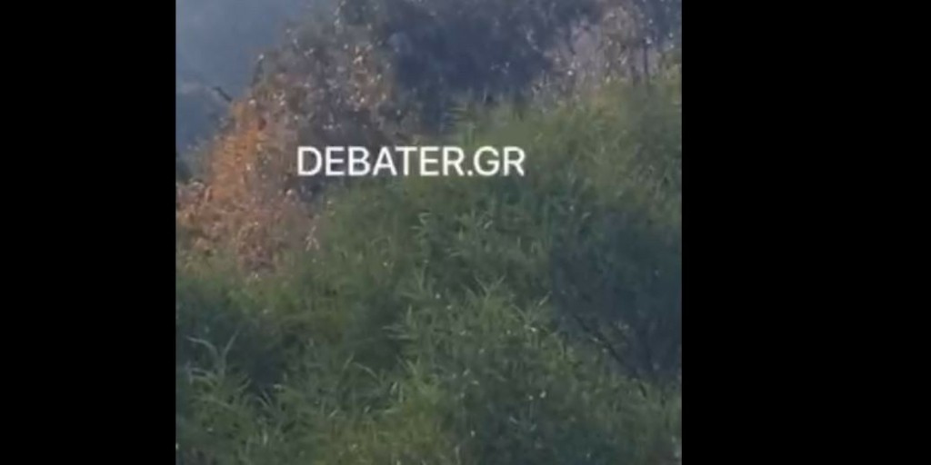 Η στιγμή που οι πυροσβεστικές δυνάμεις επιχειρούν στην κατάσβεση της μεγάλης φωτιάς που ξέσπασε στη Ρόδο (vid)