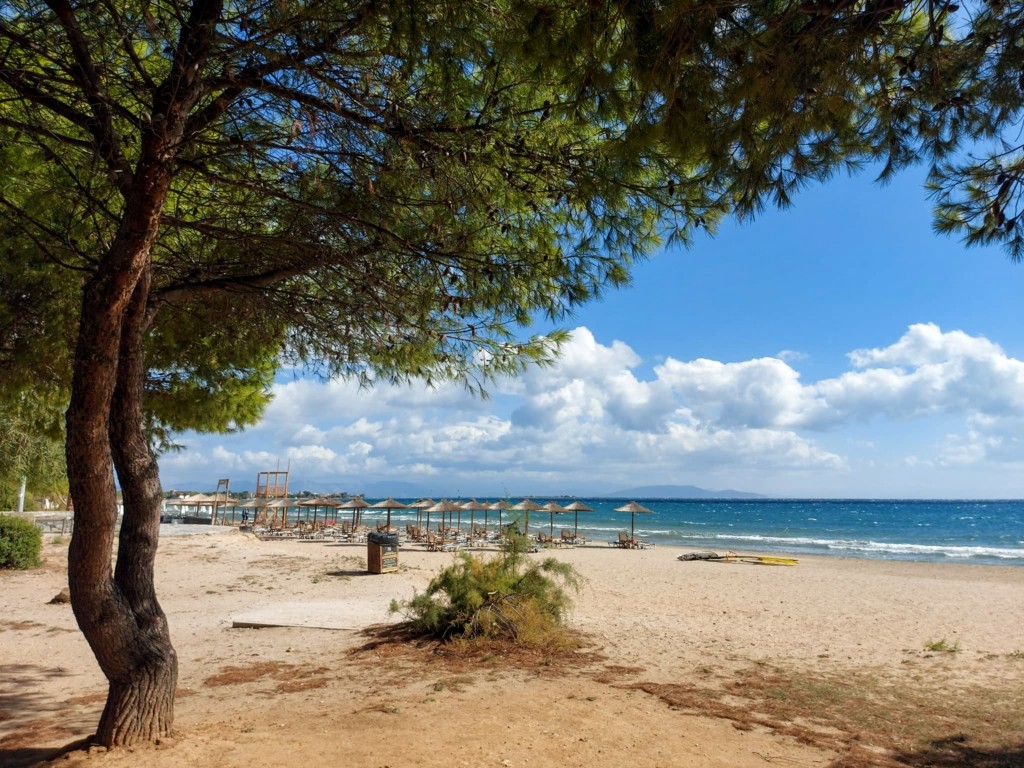 Αίθριος ο καιρός την Παρασκευή 28η Οκτωβρίου – Μικρή πτώση της θερμοκρασίας στα νότια