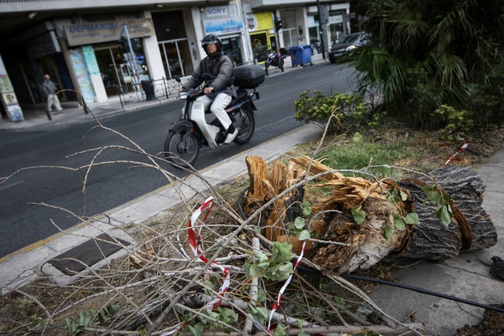 Θυελλώδεις άνεμοι και απότομη πτώση της θερμοκρασίας την Κυριακή – Προειδοποίηση Αρναούτογλου – “Μην παρκάρετε κάτω από μεγάλα δέντρα”