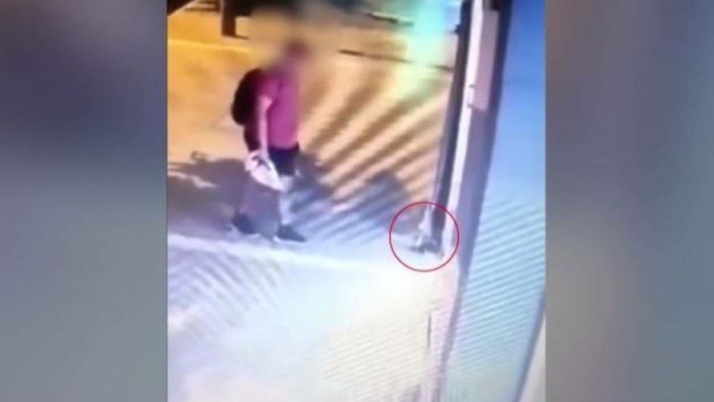 Για φόνο ζώου διώκεται ο διδάκτορας που ποδοπάτησε το νεογέννητο γατάκι στη Θεσσαλονίκη