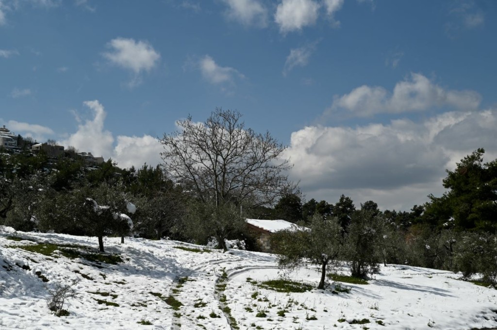 Και από Σάββατο… τα πρώτα χιόνια – Θα ντυθούν στα λευκά τα χιονοδρομικά – Η πρόγνωση Αρναούτογλου (pic)