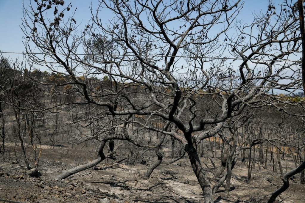 Ασύλληπτη τραγωδία στη Θεσσαλονίκη – Κάηκε ζωντανός στην αυλή του – Τι “βλέπουν” οι Αρχές