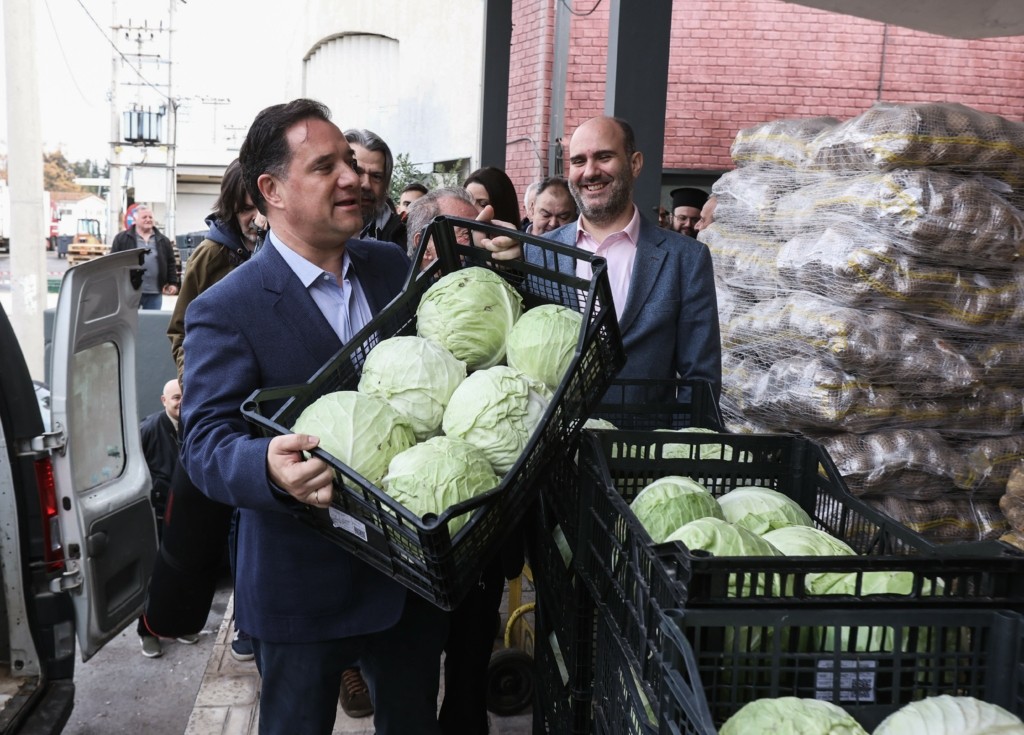 Ο Άδωνις Γεωργιάδης κουβάλησε… τελάρα στη λαχαναγορά του Ρέντη (pics)