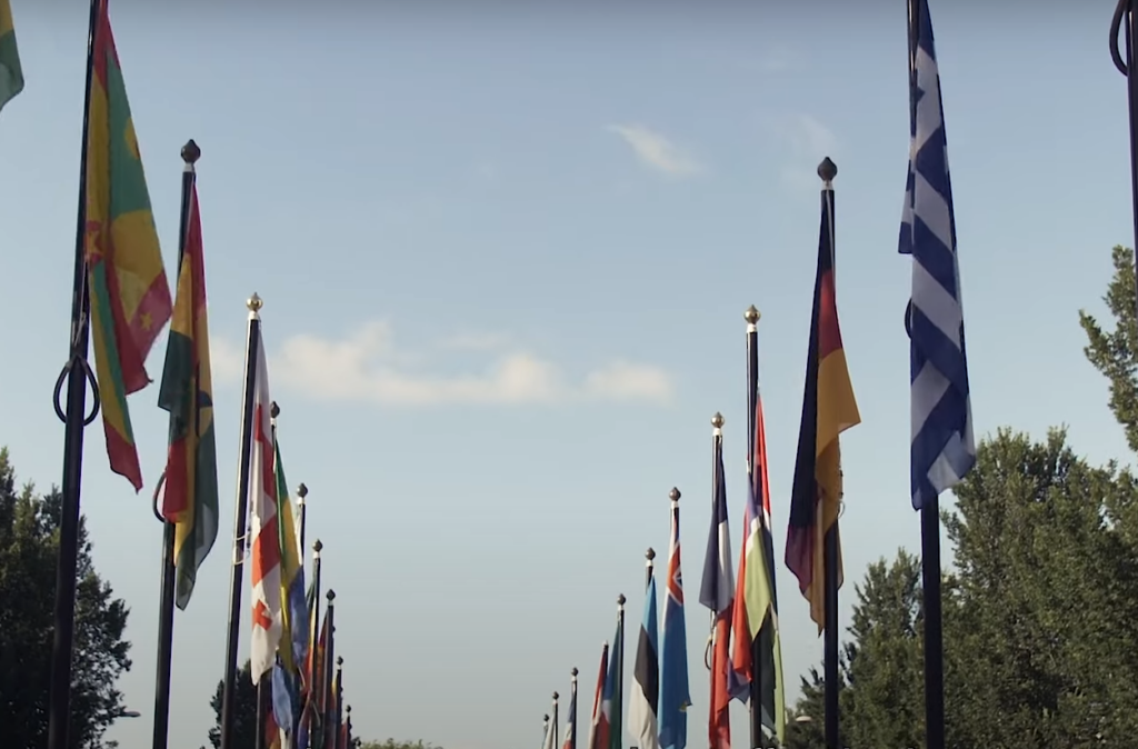 Καμπανάκι από Europol – “Ανησυχητική” η αύξηση των τρομοκρατικών ενεργειών της ακροδεξιάς