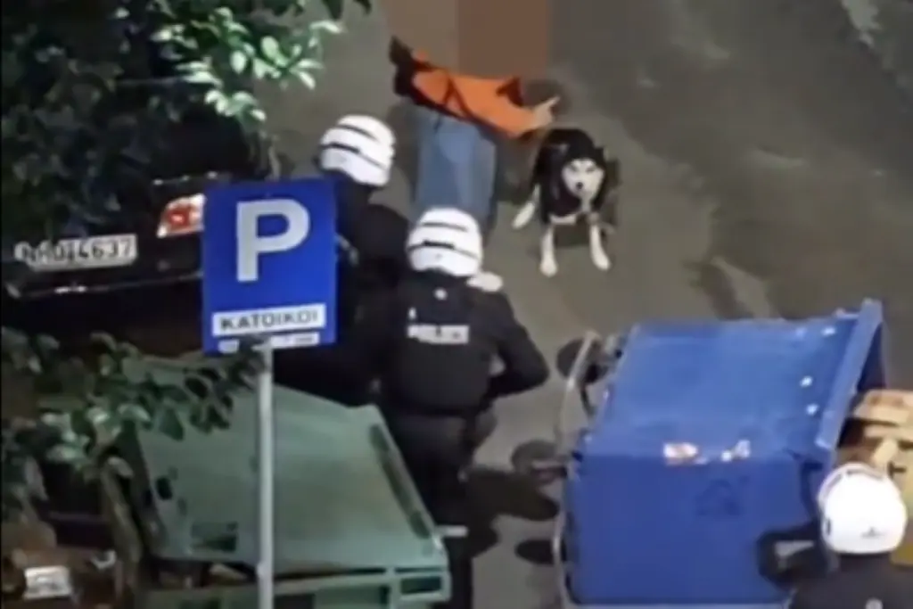 Απίστευτο βίντεο από τη Θεσσαλονίκη – Άνδρας απέφυγε τη σύλληψη λόγω του… σκύλου του