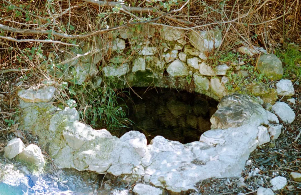 Σκύλος έπεσε και εγκλωβίστηκε μέσα σε πηγάδι στα Ψαχνά Εύβοιας (vid)