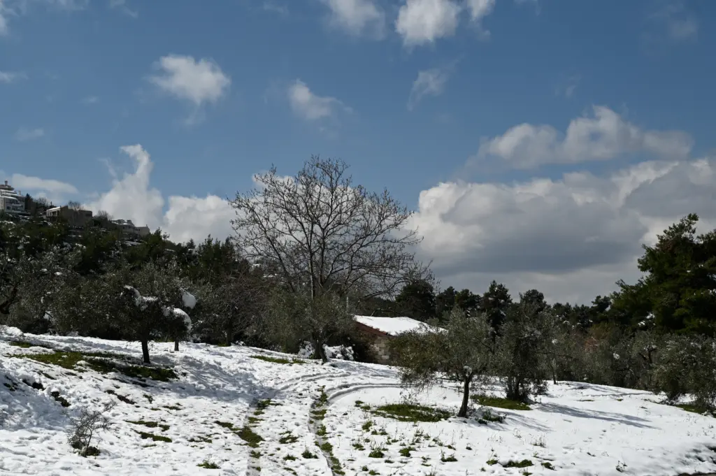Έρχεται νέα ψυχρή εισβολή την άλλη εβδομάδα με χιόνια ακόμα και στην Αθήνα – Ο “καυγάς” των μετεωρολόγων (vid)