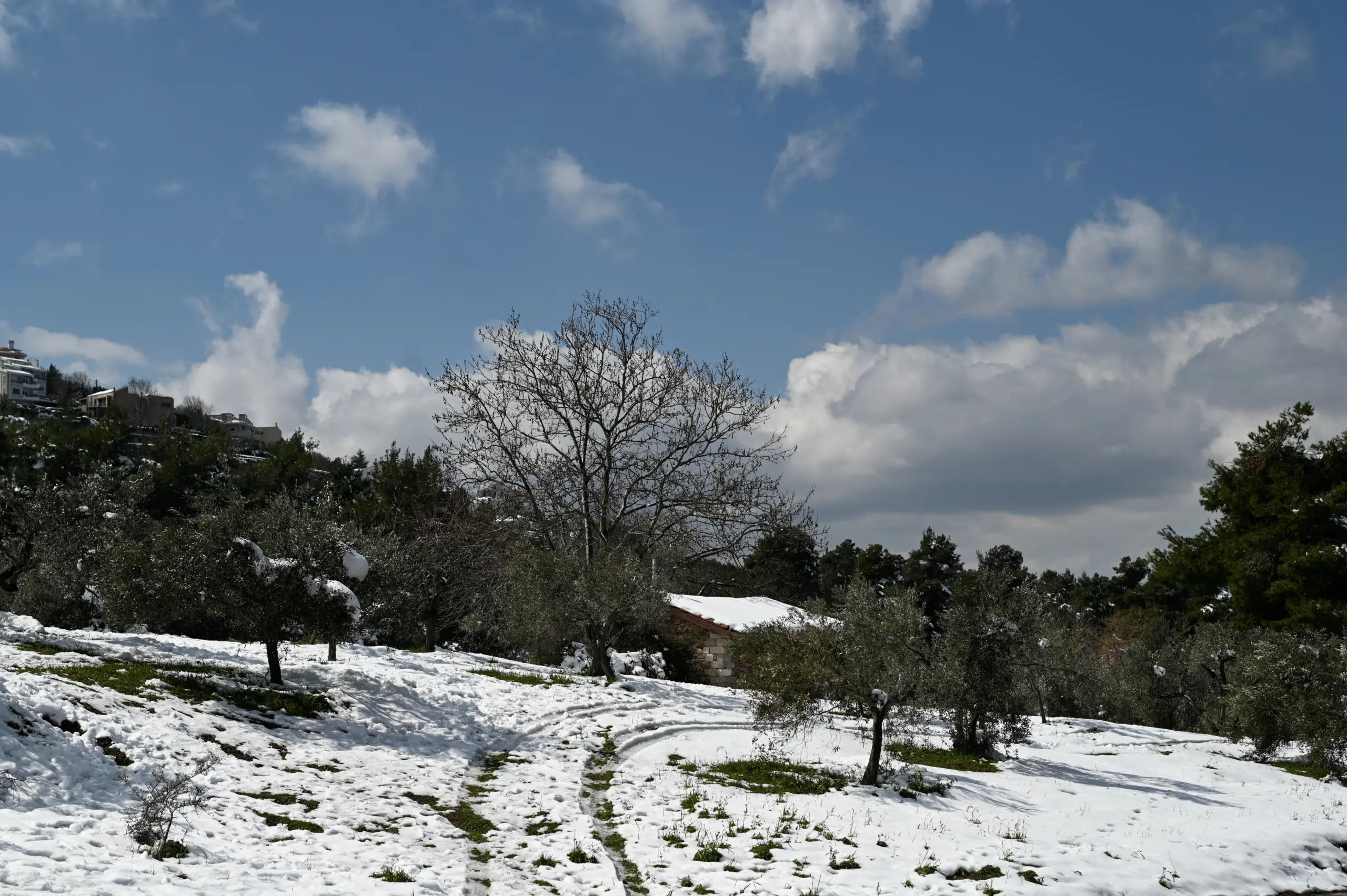 Έρχεται νέα ψυχρή εισβολή την άλλη εβδομάδα με χιόνια ακόμα και στην Αθήνα – Ο “καυγάς” των μετεωρολόγων (vid)