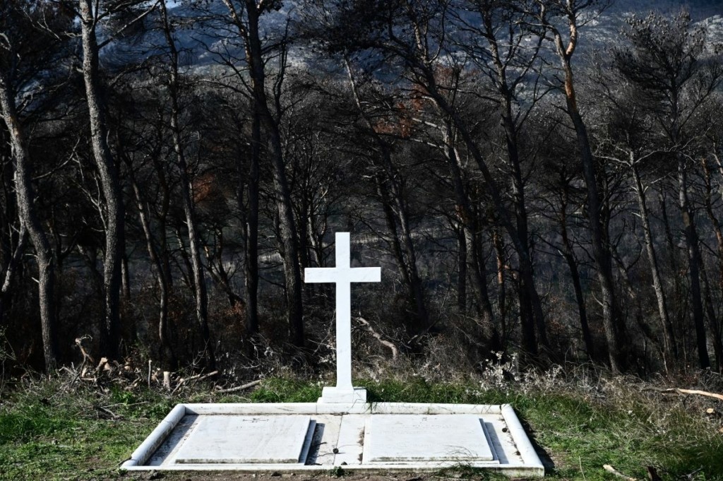 Αγνώριστο το Τατόι μέσα σε λίγες ώρες για την ταφή του τέως βασιλιά – Δημιουργούν μονοπάτια και φυτεύουν δέντρα γύρω από τον τάφο (pics&vid)