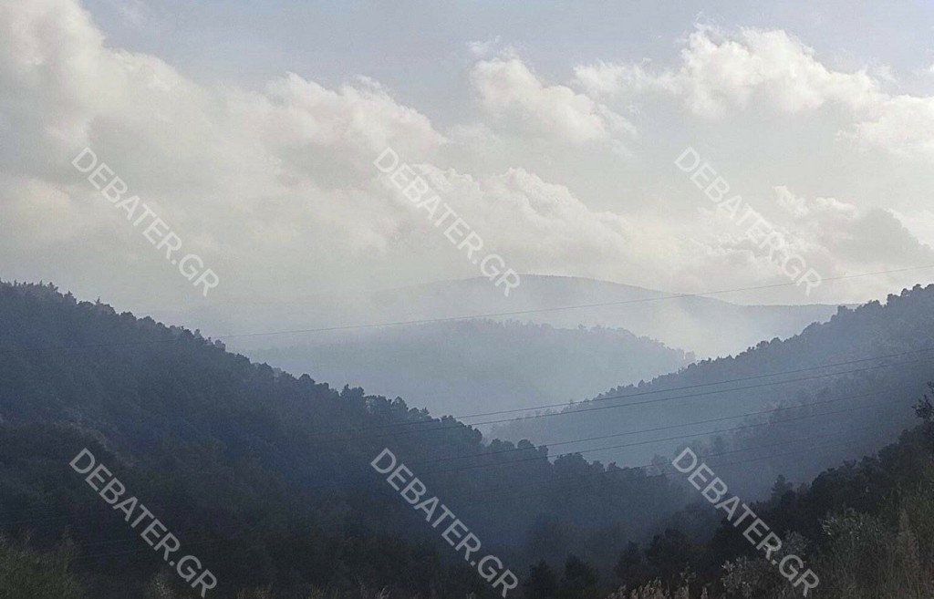 Καταγγελίες από κάτοικο για τη φωτιά στη Βοιωτία – “Είμαστε χαμένοι εμείς, ας σωθεί κανένα δεντράκι” – Αποκλειστικές φωτογραφίες του DEBATER
