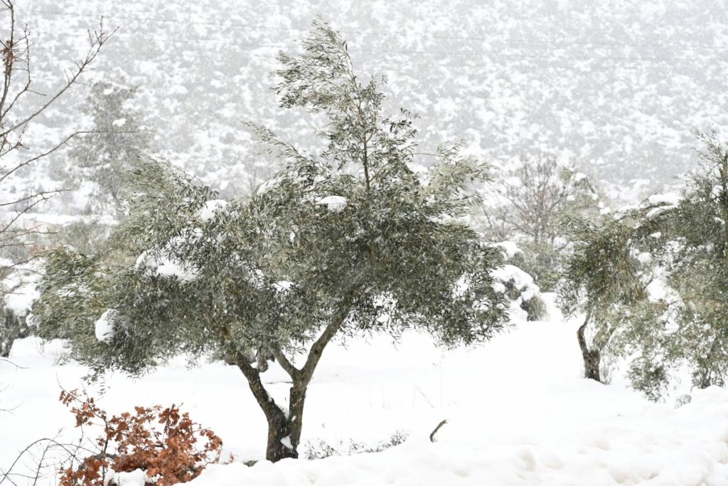 Νέο Έκτακτο Δελτίο Επιδείνωσης – Έρχονται βροχές και καταιγίδες – Χιόνια από τα 800 μέτρα