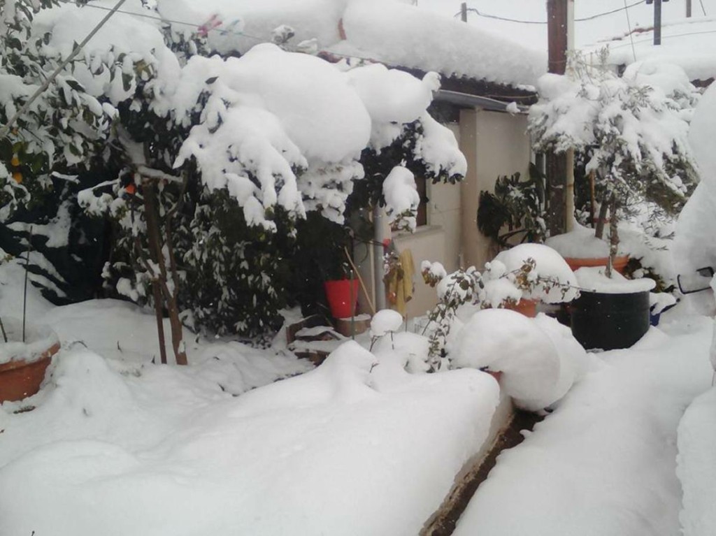 Ξεσπά μητέρα με παιδί 17 μηνών από την Εύβοια στο DEBATER – “Δεν είχα ρεύμα ολόκληρο βράδυ μέσα στον χιόνια”