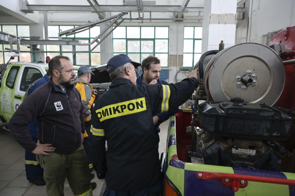 ΜΚΣ Δεσμός, WWF Ελλάς και HIGGS ενώνουν δυνάμεις – “Χτίζουν” ασπίδα για τα δάση