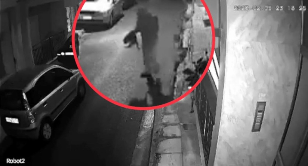 Συνελήφθη 33χρονος στον Κολωνό που σκότωνε συστηματικά ζώα – Βρήκαν κουφάρια σε εγκαταλελειμμένο κτίριο