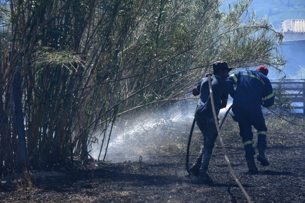 Υπό μερικό έλεγχο η φωτιά στο Μαυροβούνι Κορινθίας